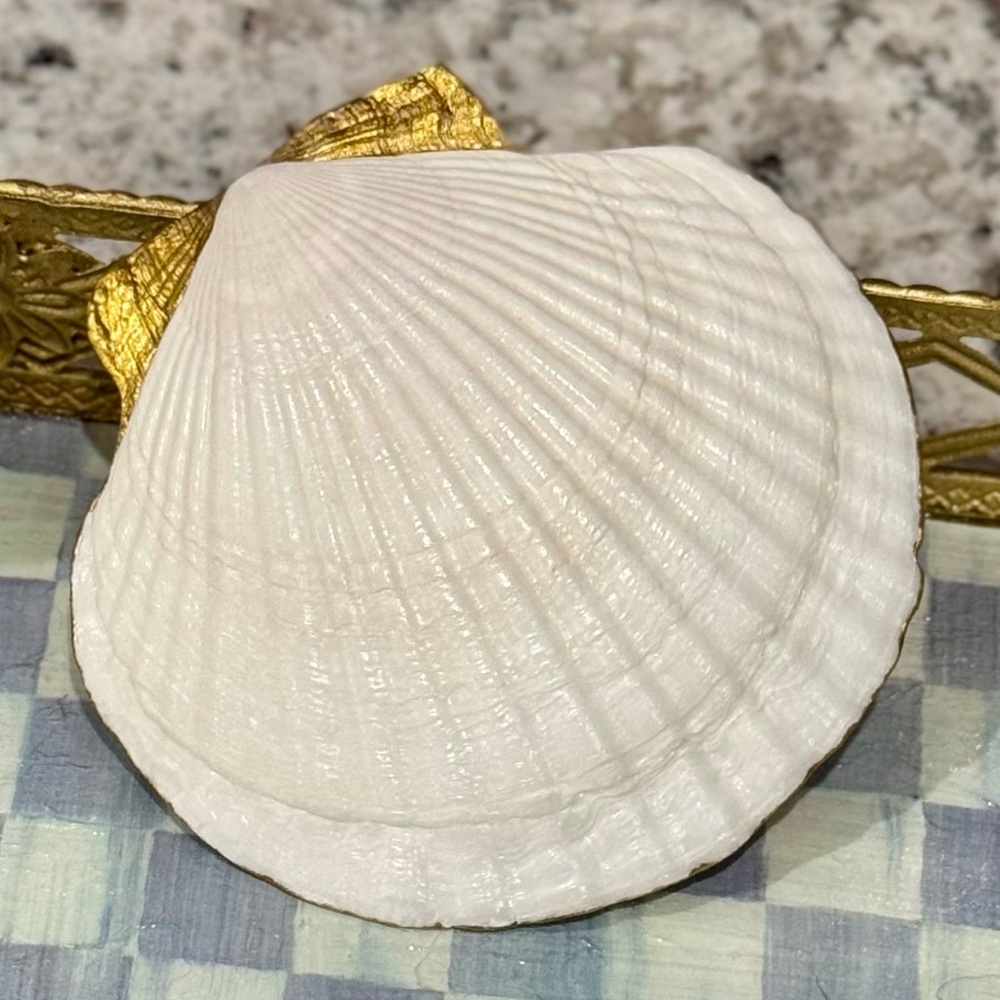 Hand Crafted Butterfly Hill Clam Shell Trinket Jewelry Dish - Picture 2 of 6